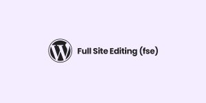 Qu'est que le FSE ou Full Site Editing sur Wordpress ?